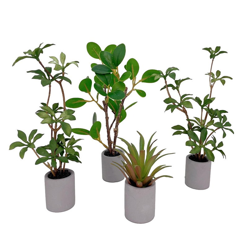 Bonsai Garden Ideas - 1:6 Dollhouse Miniature Potted Plant Green