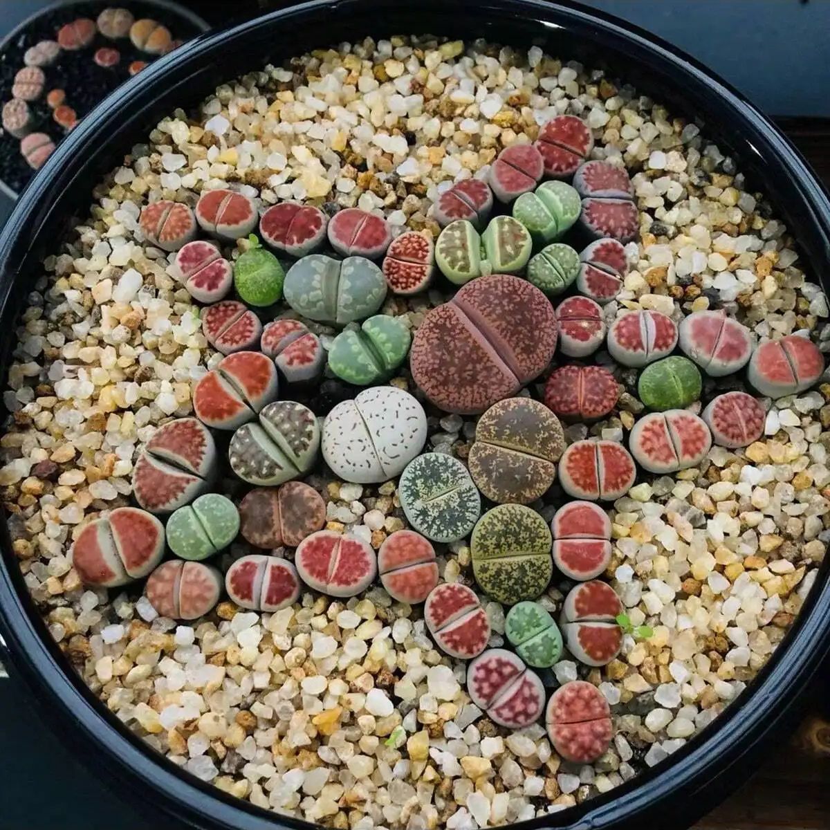 1pc-250g Natural Crystals Grav - огляд і ціна Bonsai Rock Garden