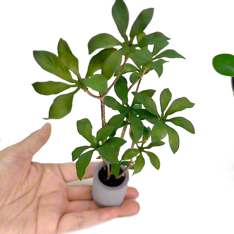 1:6 Dollhouse Miniature Potted - огляд і ціна Bonsai Garden Ideas