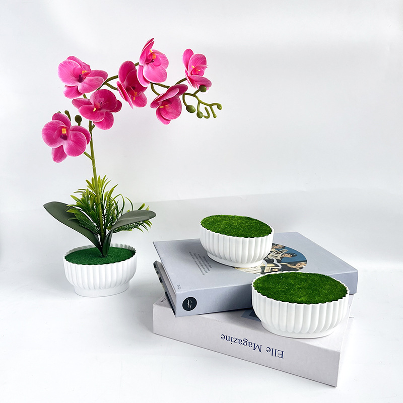 Corrosion resistant injection  - огляд і ціна Bonsai Garden Shop