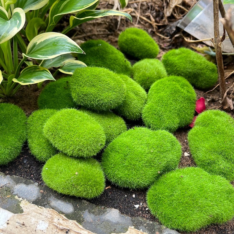 5/30pcs Simulation Moss Stone  - огляд і ціна Bonsai Rock Garden