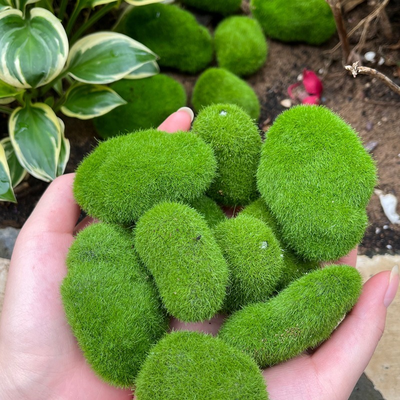 5/30pcs Simulation Moss Stone  - огляд і ціна Bonsai Rock Garden