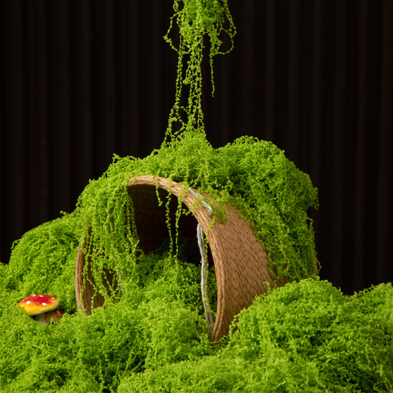 200g Eternal Life Moss DIY Cra - огляд і ціна Bonsai Garden Ideas