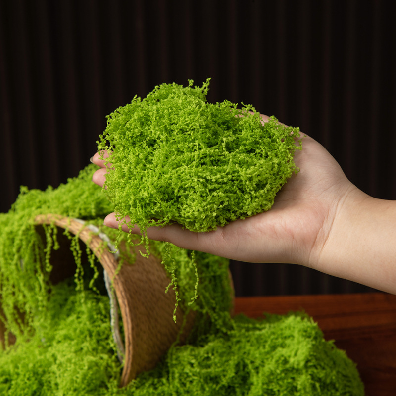 200g Eternal Life Moss DIY Cra - огляд і ціна Bonsai Garden Ideas