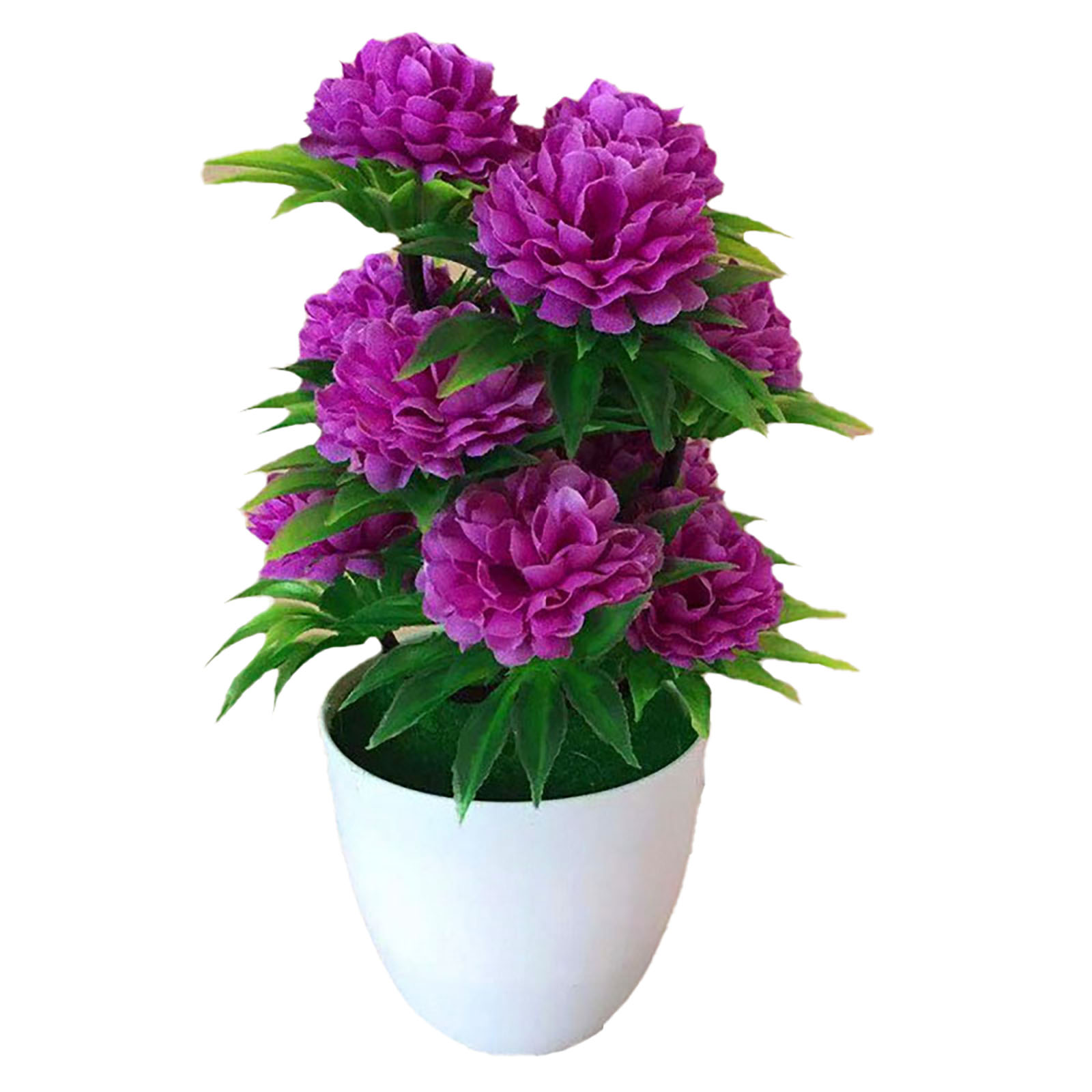 Beautiful Decoration Stylish A - огляд і ціна Bonsai Garden Shop