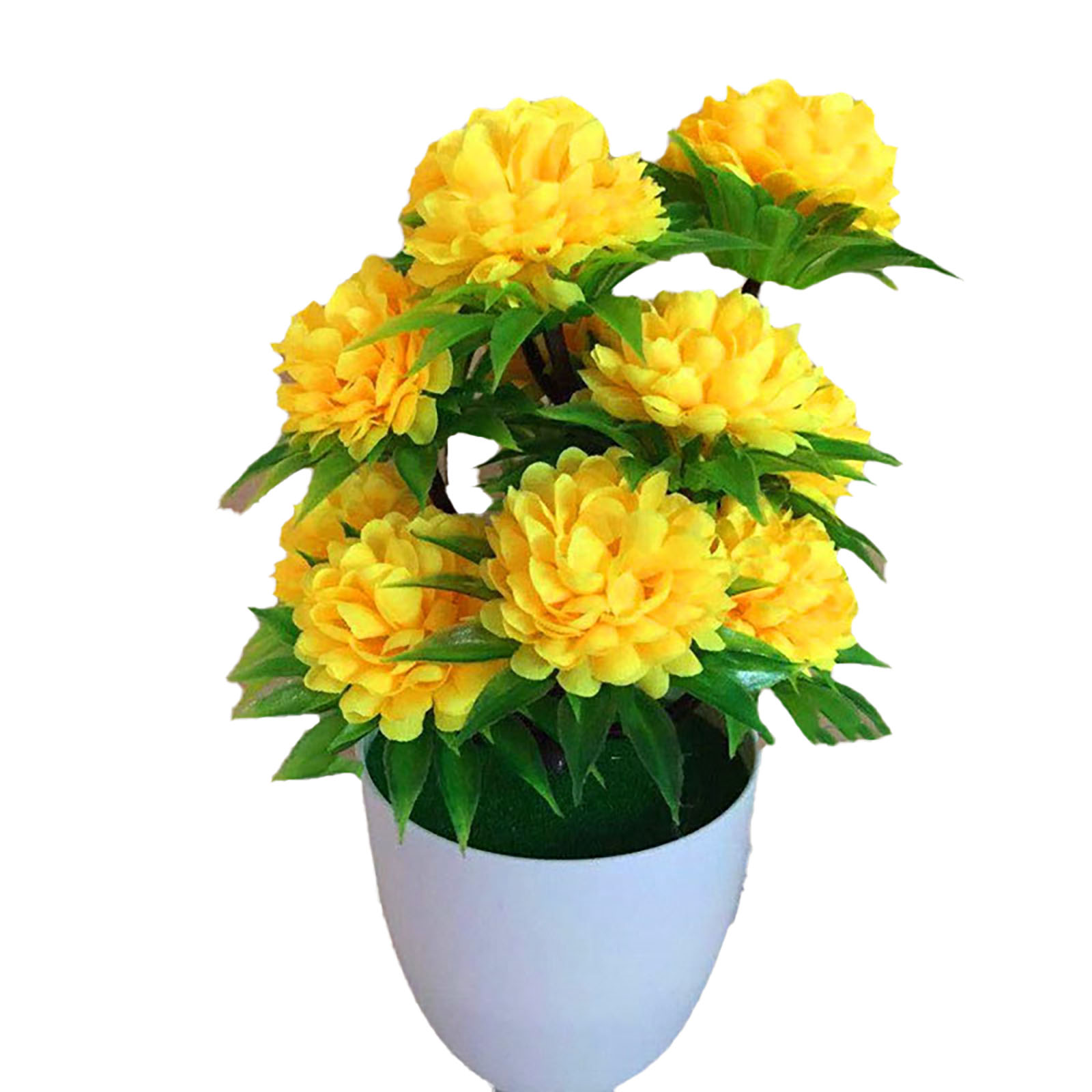 Beautiful Decoration Stylish A - огляд і ціна Bonsai Garden Shop