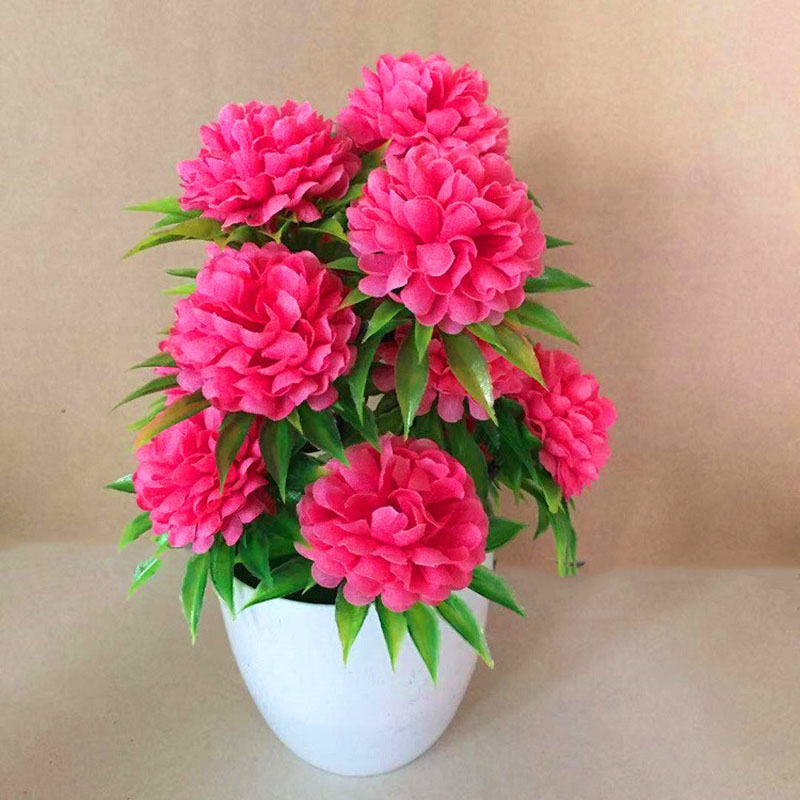 Beautiful Decoration Stylish A - огляд і ціна Bonsai Garden Shop