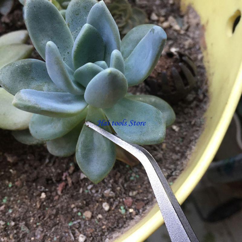 X37E Durable Gardening Rake Mi - огляд і ціна Bonsai Garden Shop