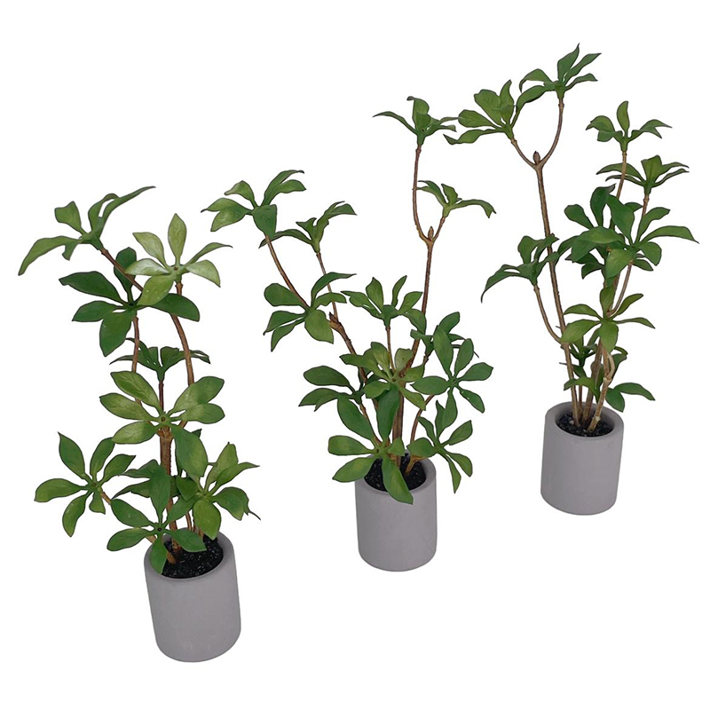 1:6 Dollhouse Miniature Potted - огляд і ціна Bonsai Garden Ideas