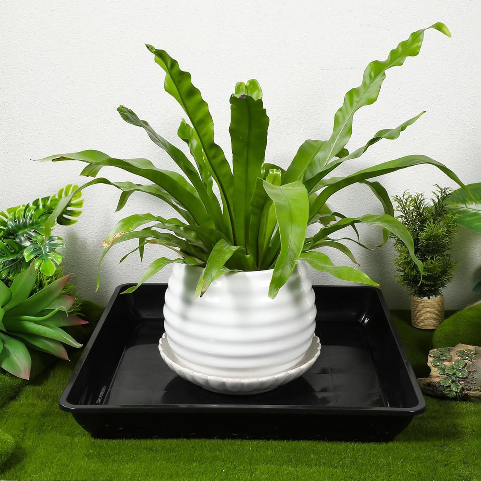 Flower Pot Trays 2Pcs/set Gard - огляд і ціна Drip Tray Saucer