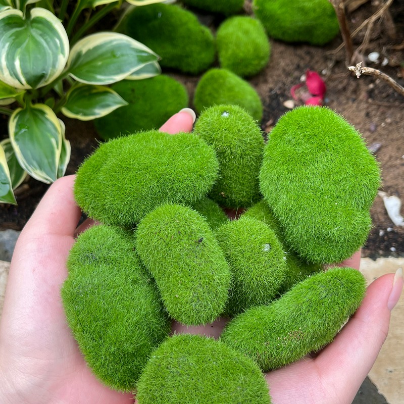 50/5PCS Artificial Foam Moss R - огляд і ціна Bonsai Rock Garden