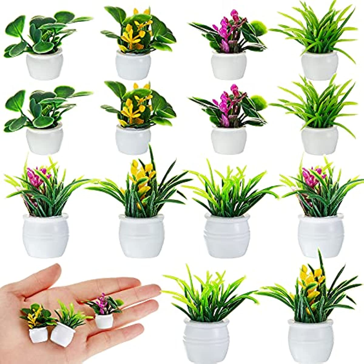 Dollhouse Plant, Miniature Bon - огляд і ціна Bonsai Garden Ideas