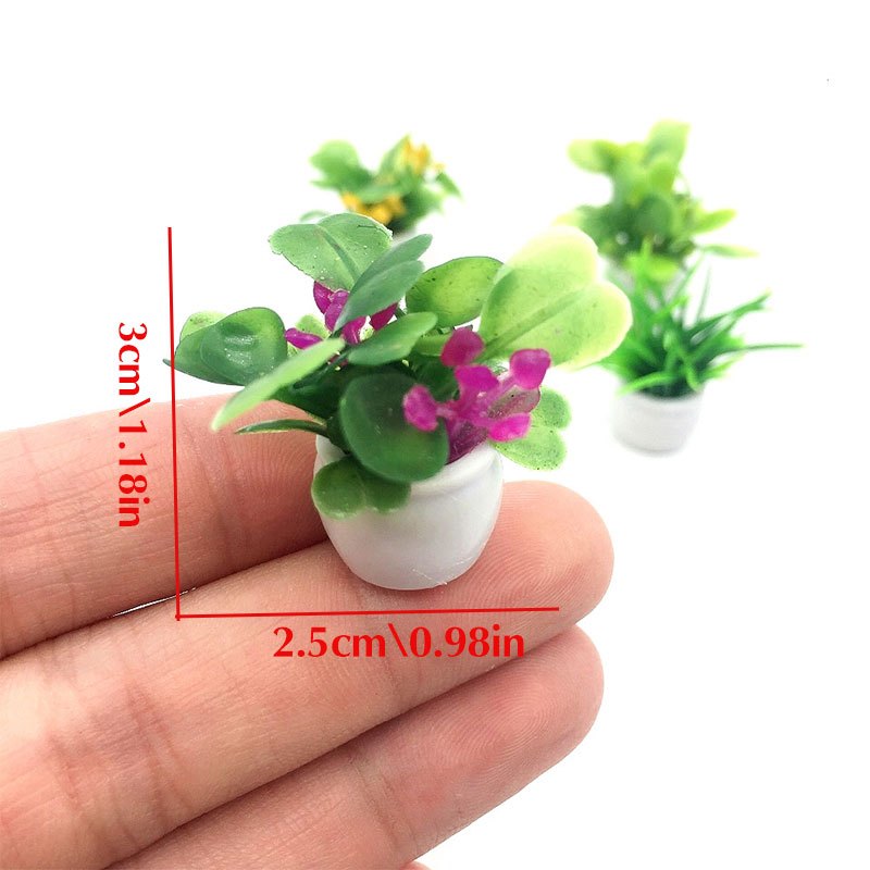 Dollhouse Plant, Miniature Bon - огляд і ціна Bonsai Garden Ideas