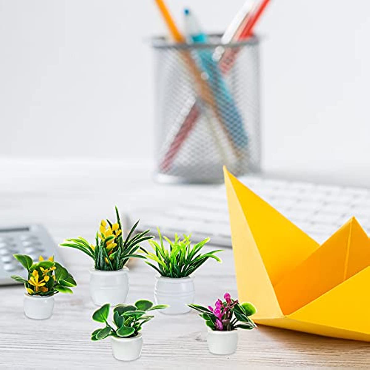 Dollhouse Plant, Miniature Bon - огляд і ціна Bonsai Garden Ideas