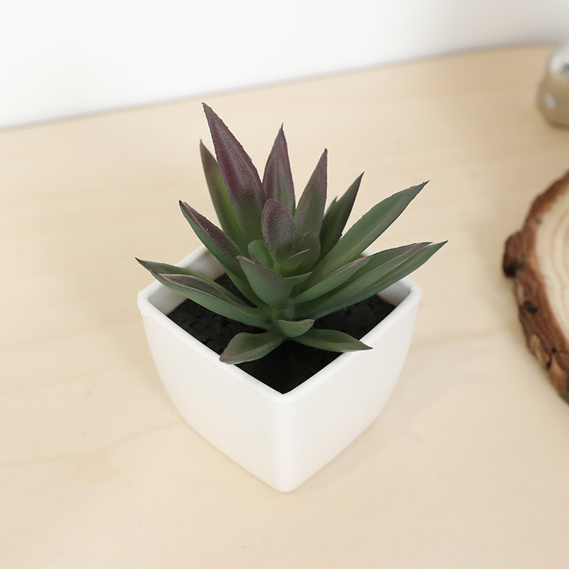 Mini Artificial Succulent Fair - огляд і ціна Bonsai Garden Ideas