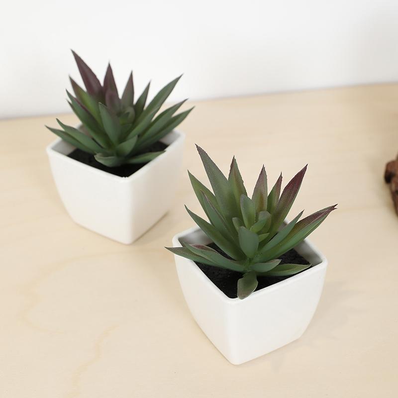 Mini Artificial Succulent Fair - огляд і ціна Bonsai Garden Ideas