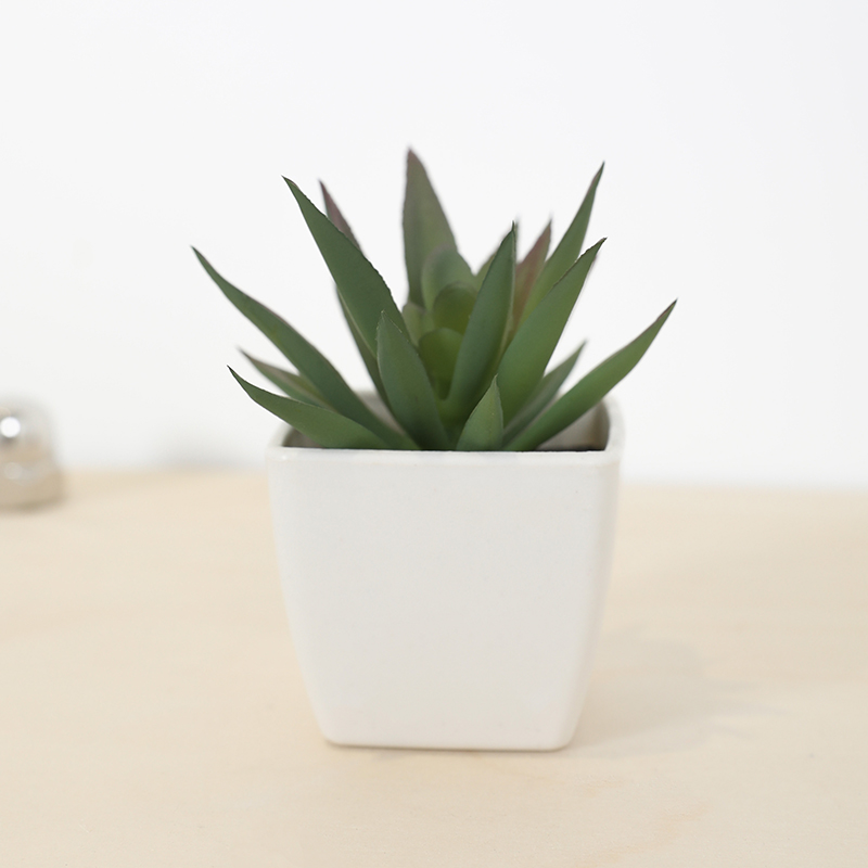 Mini Artificial Succulent Fair - огляд і ціна Bonsai Garden Ideas