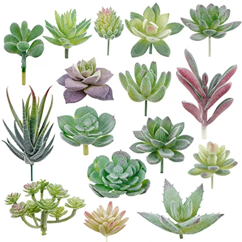10/20Pcs PVC Succulents Plants - огляд і ціна Bonsai Garden Ideas